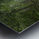 Mystic Forest Metal print