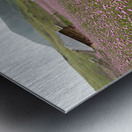 Valley of Blossoms Metal print