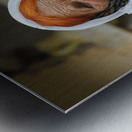 Wrinkles of Wisdom Metal print