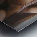 Whisper of Silk Metal print