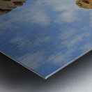 History                                Metal print