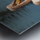 pelikan04 moreDetail x4 9544x14340 2pass photo.pn Metal print