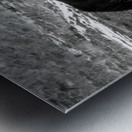 Horses Impression metal