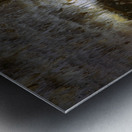 Cathedral of Time Impression metal