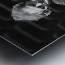 The Silent Symphony Metal print