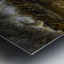 Heart of the Earth Metal print