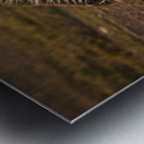 Harmony in Stripes Metal print