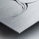 Soul in Motion Metal print