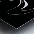 1 Flying 1 copy 020129 Metal print