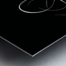 Silent Embrace Metal print