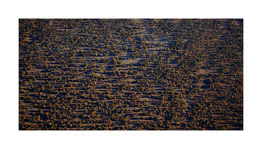 ZAGROS Picture Frame print