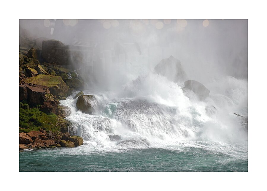 The Roar of Nature Picture Frame print