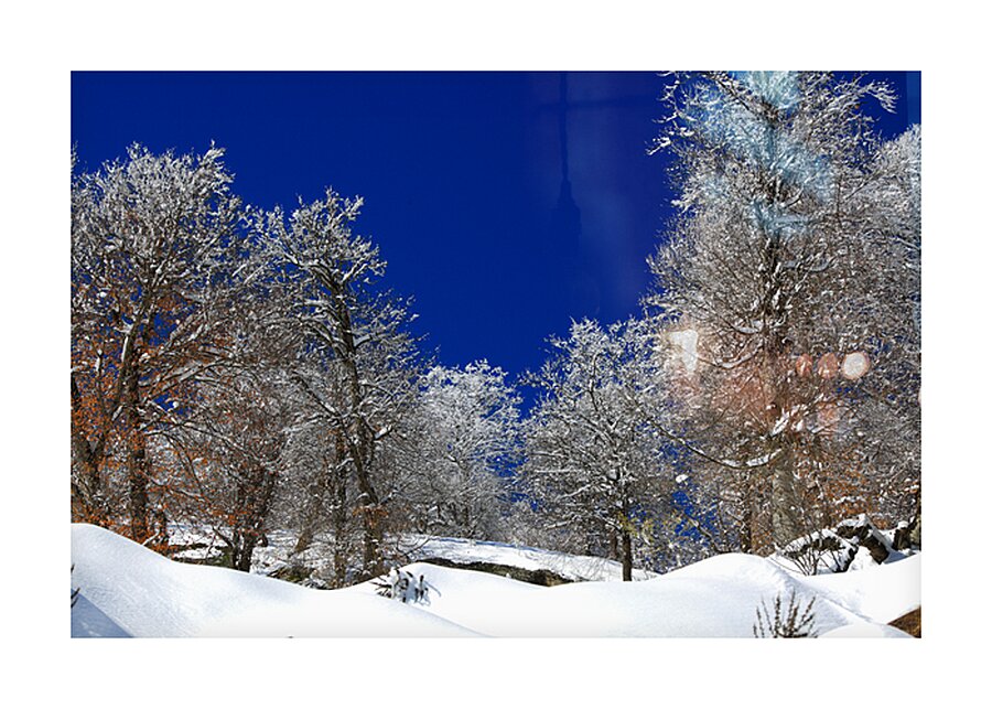 Silent White Picture Frame print