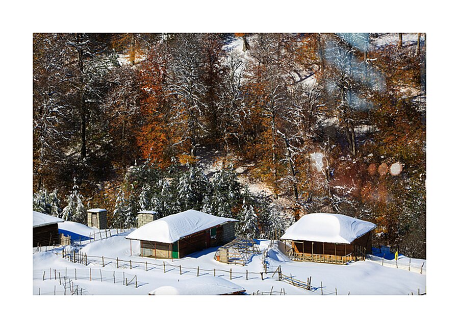 Autumn Behind the Snow Picture Frame print