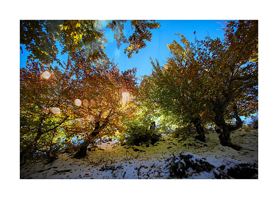 Autumn in Blue’s Embrace Picture Frame print