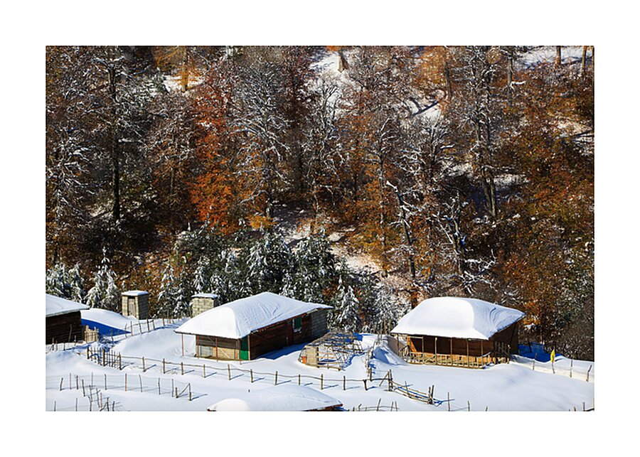 Autumn Meets Winter Impression et Cadre photo