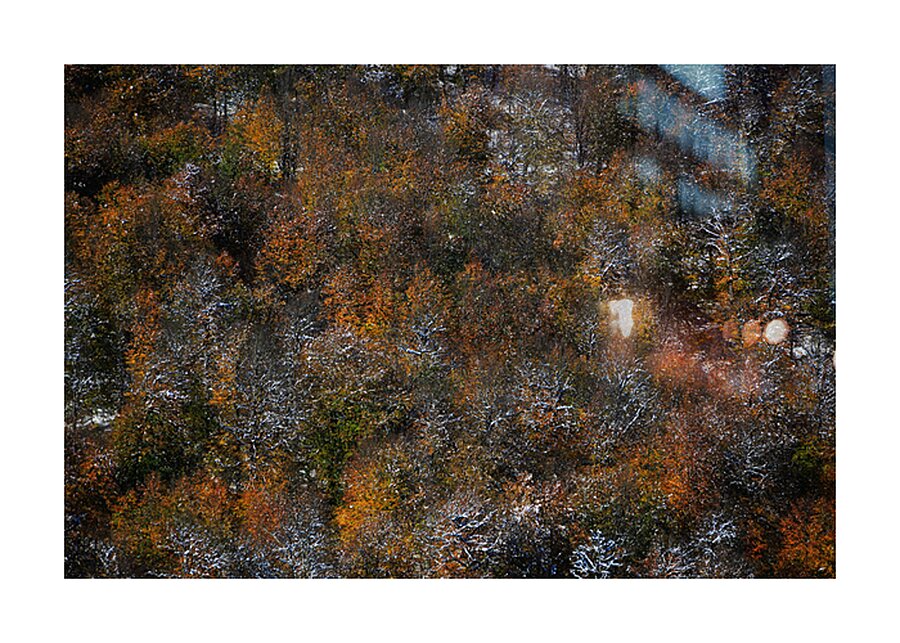 Frozen Autumn Picture Frame print