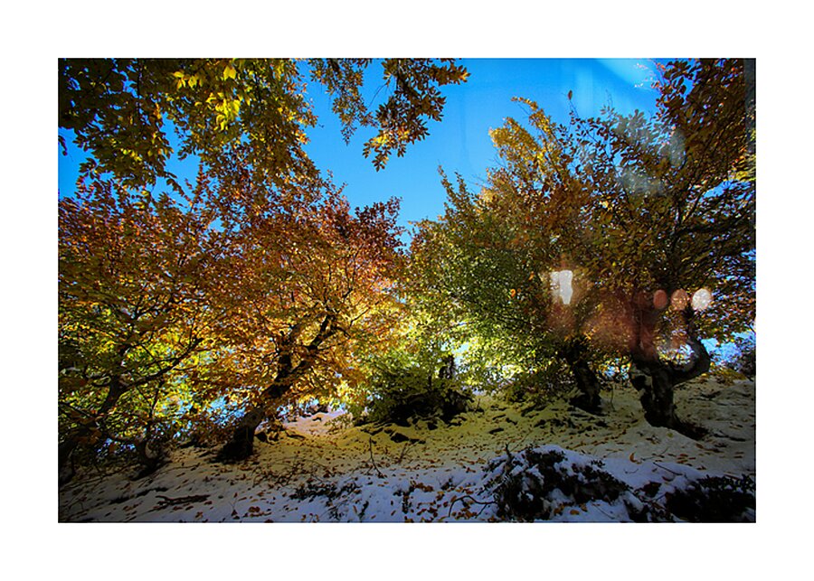 Embrace of Light Picture Frame print