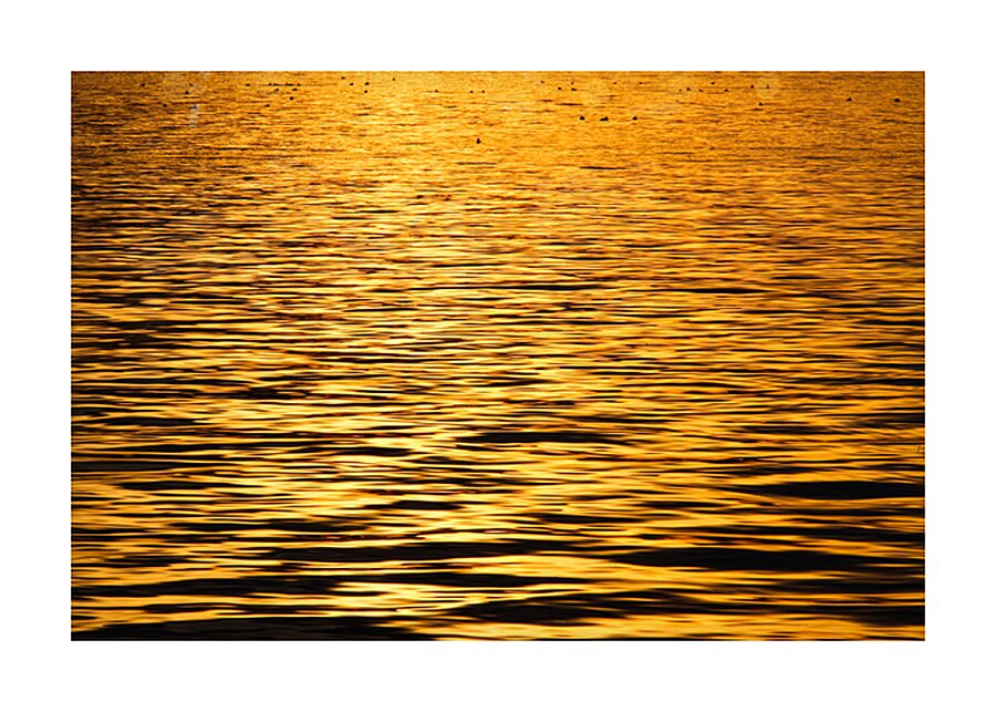 Golden Dawn Picture Frame print