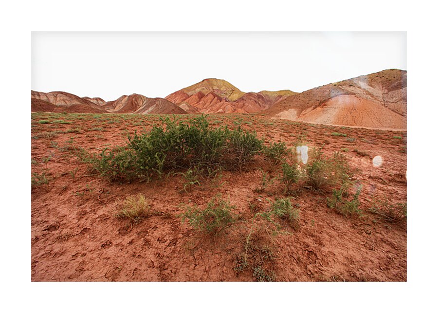 Roots of Fire Picture Frame print