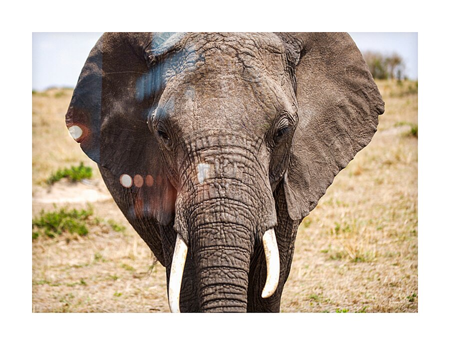 Timeless Strength Picture Frame print