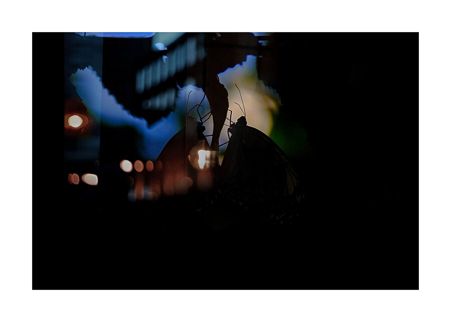 Silent Connection Picture Frame print