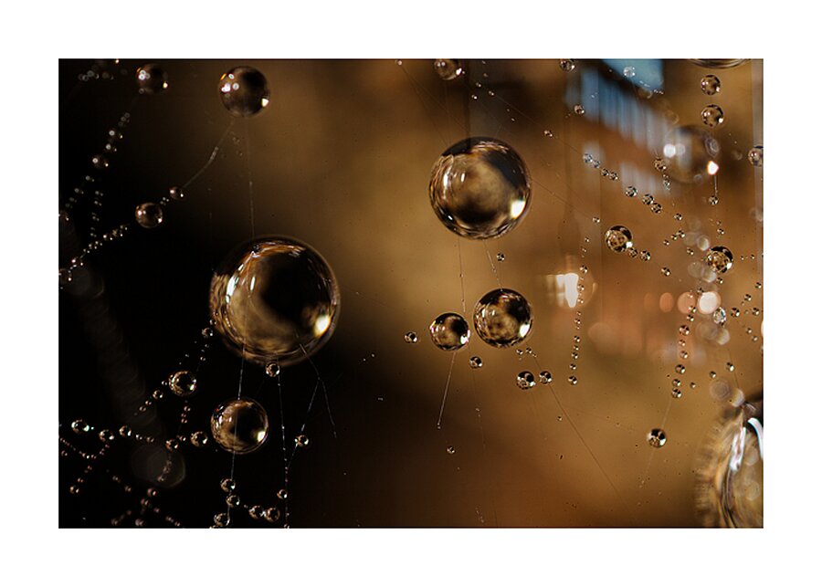 Web of Stars Picture Frame print