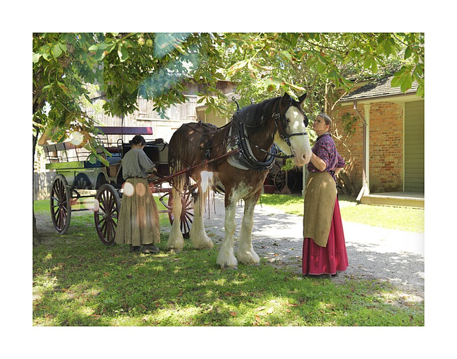 Timeless Companions Picture Frame print