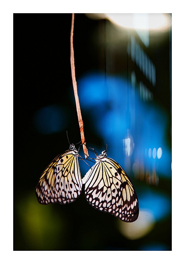 Together in Stillness Impression et Cadre photo