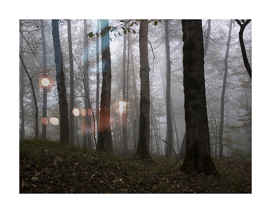 Whispers of the Fog Picture Frame print