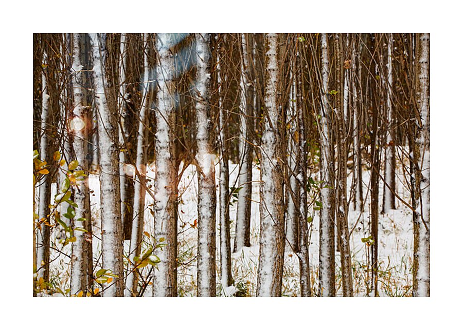 Song of Verticals Picture Frame print