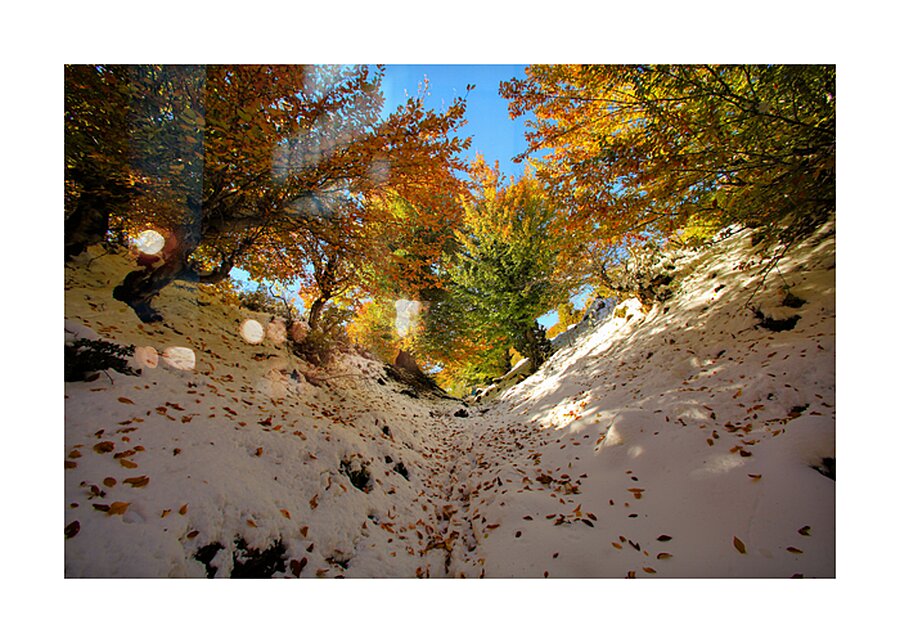 Nature’s Invitation Picture Frame print