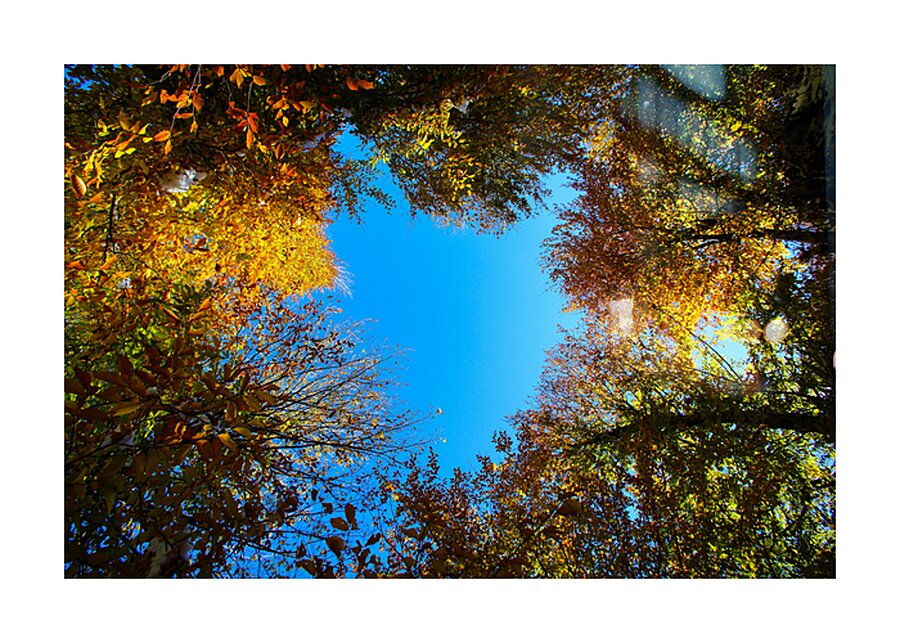 Window to the sky Impression et Cadre photo