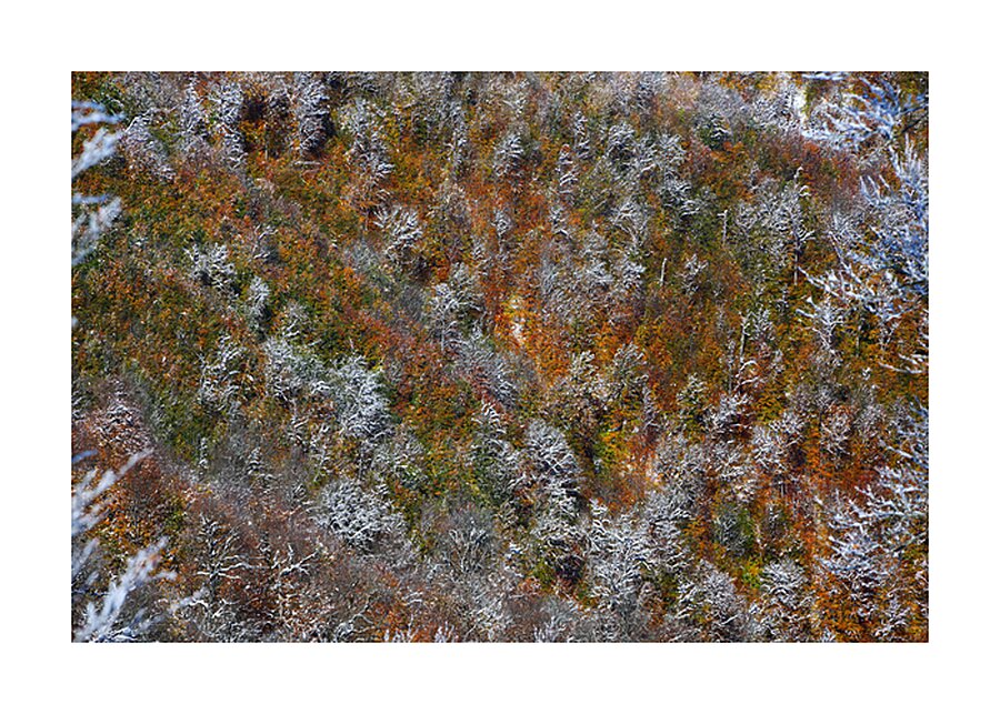 Poetry of Seasons Picture Frame print