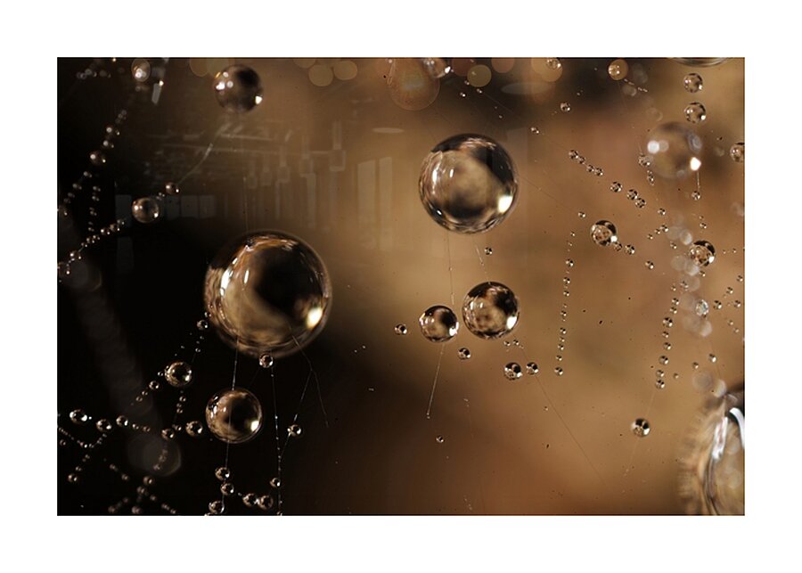 Gravity’s Whisper Picture Frame print