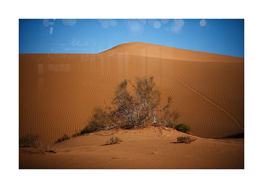 Whispers of the Dune Picture Frame print