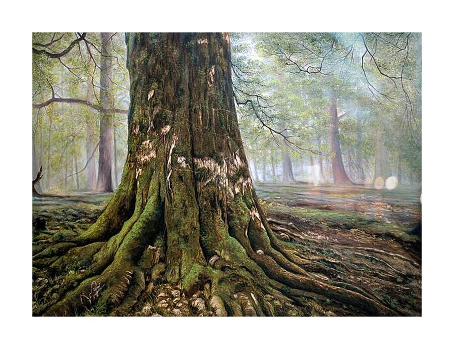 Source Picture Frame print