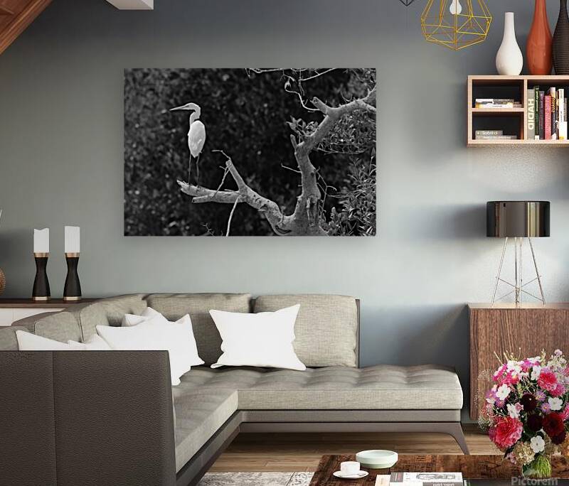 The White Guardian Reproduction