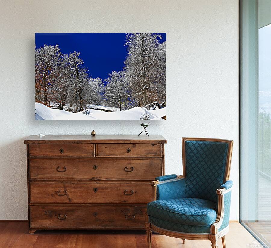  Silent White Reproduction