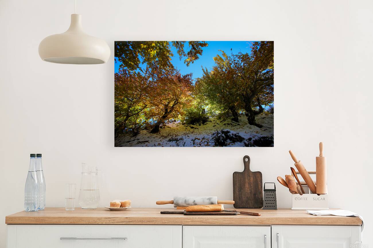 Autumn in Blue’s Embrace Reproduction