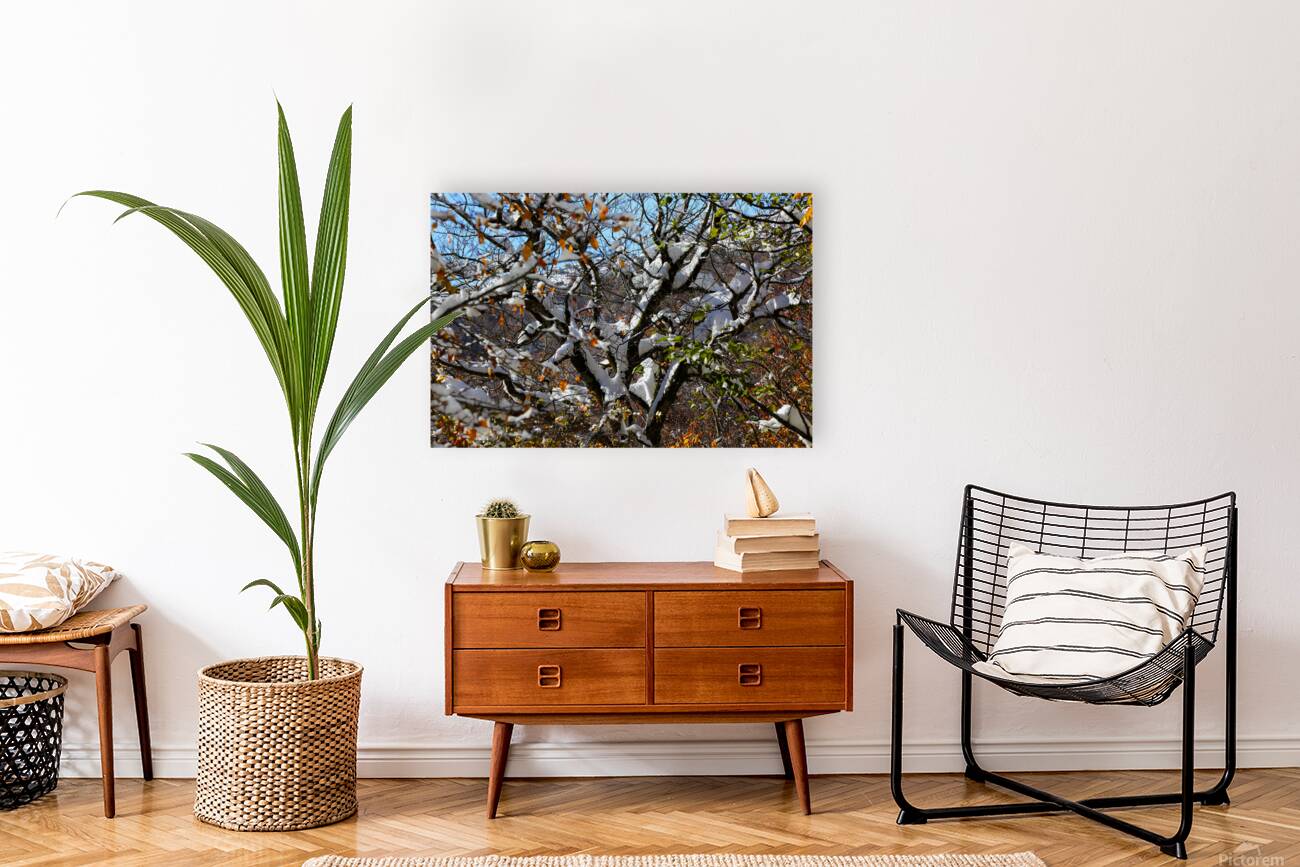 Autumn’s Last Breath Reproduction