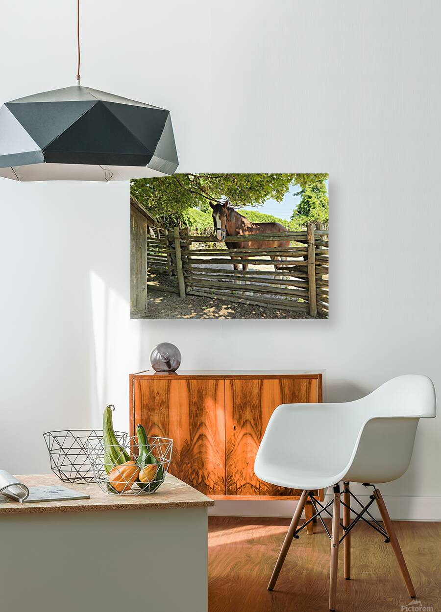 Brown Grace Reproduction