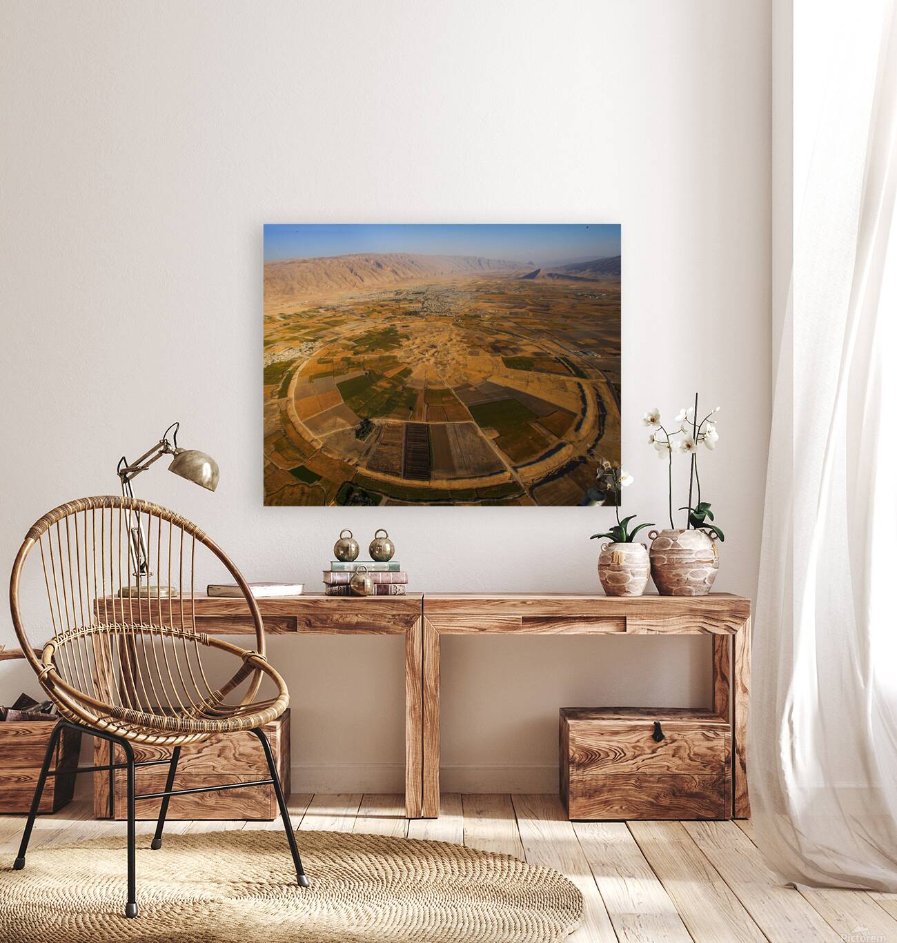 Circle of Life Reproduction