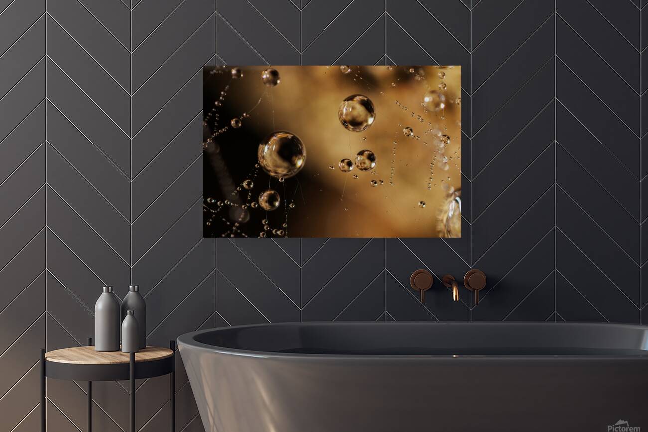 Floating Worlds Reproduction