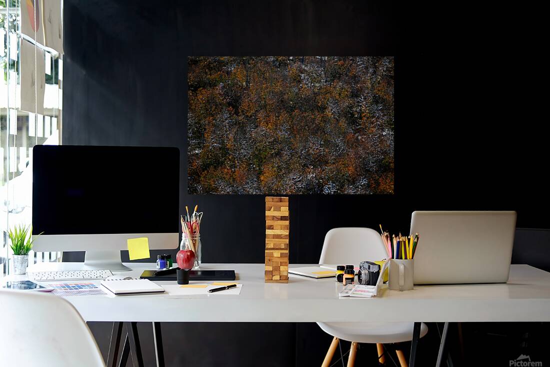 Frozen Autumn Reproduction