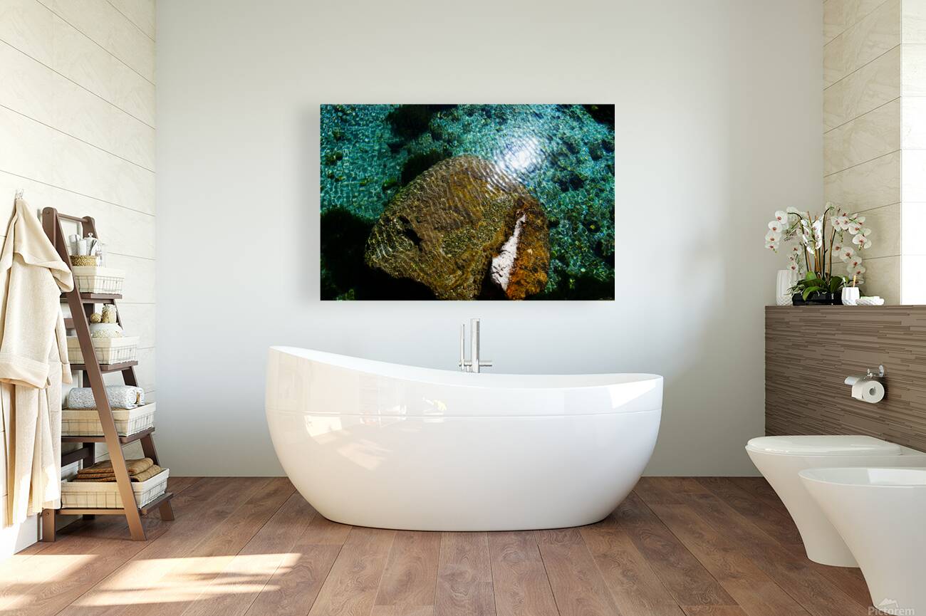 Living Stone Reproduction