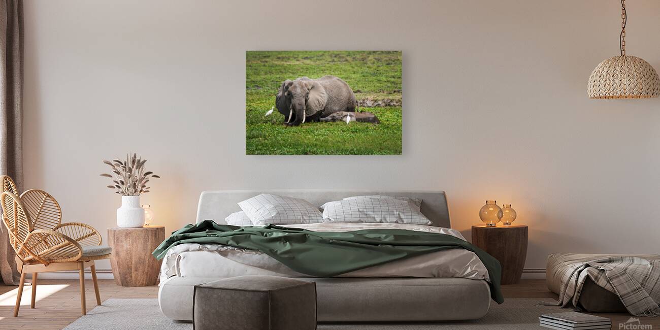 Gentle Giants Reproduction