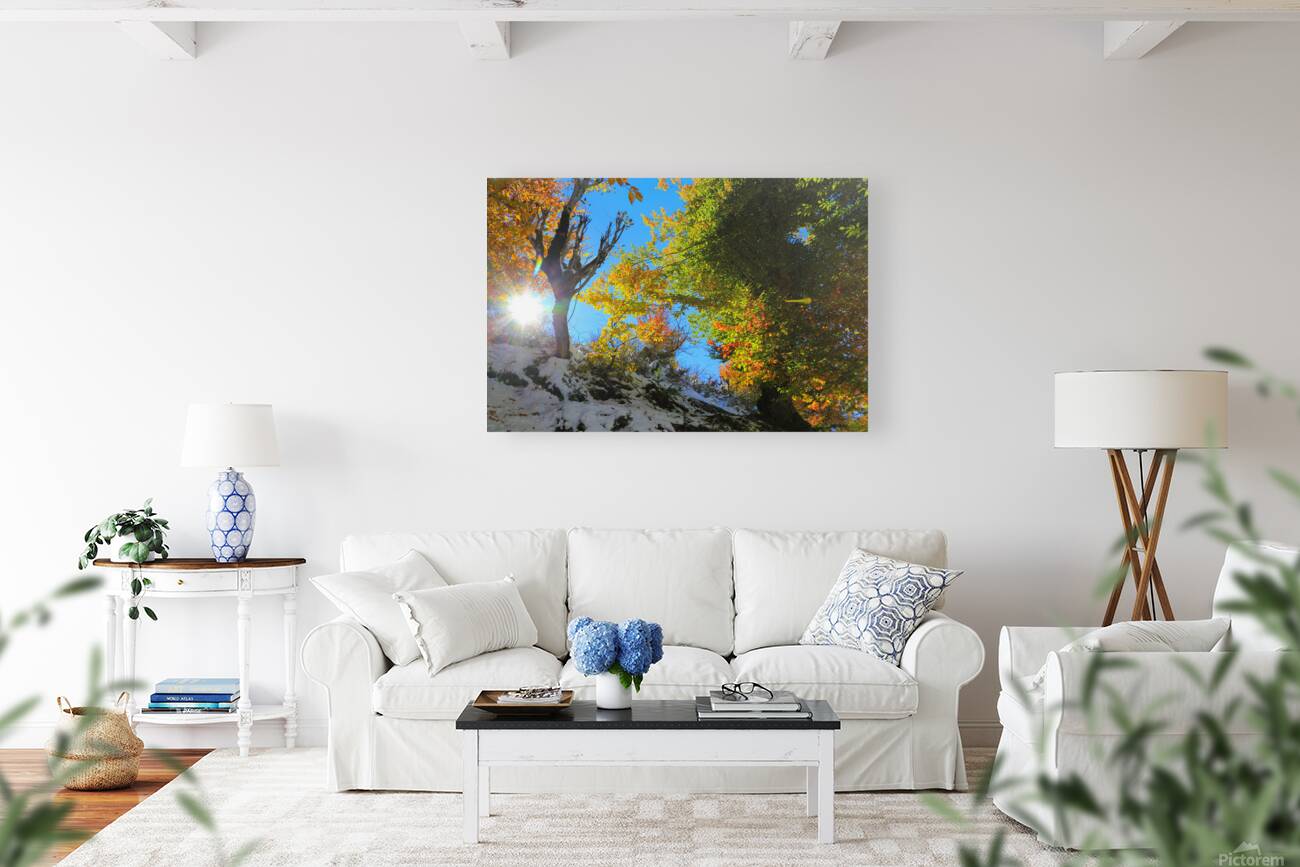 Dance of Light and Leaves Reproduction