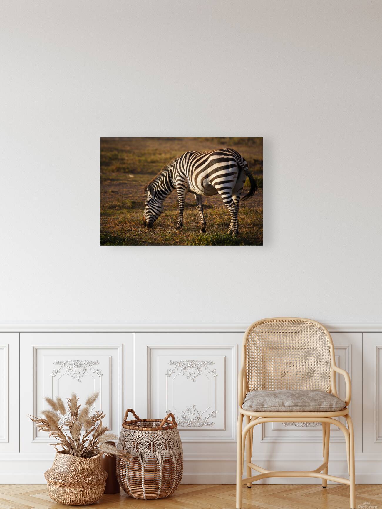 Stripes of Life Reproduction