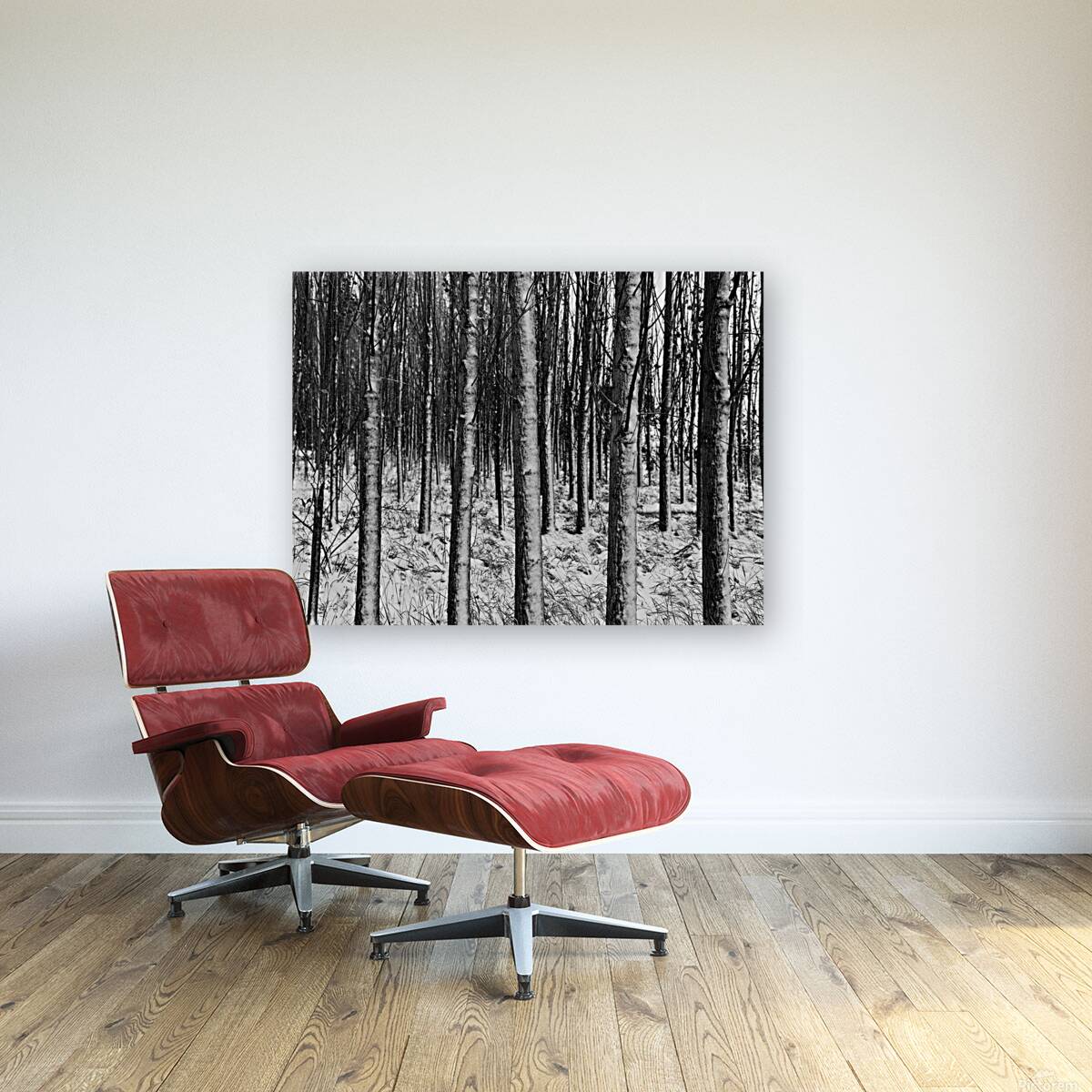 Silent Woods Reproduction
